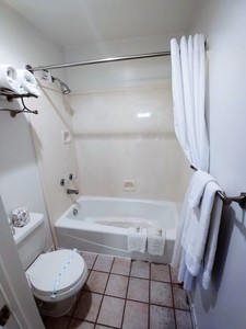 King Ranch Style Suite Photo 8