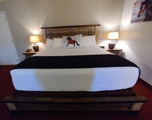 King Ranch Style Suite Photo 6